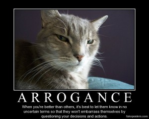 arrogance-cat