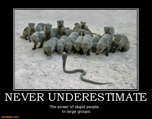 never-underestimate-stupid-people