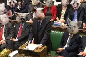 pigs-at-the-trough